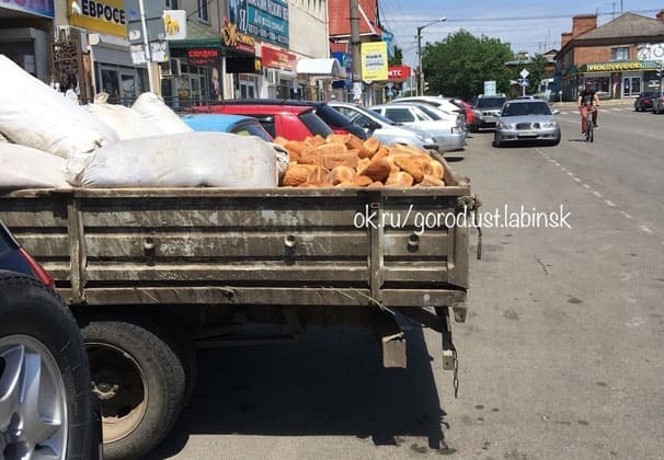 Культ хлеба