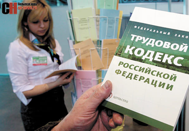 Проверят по обращению