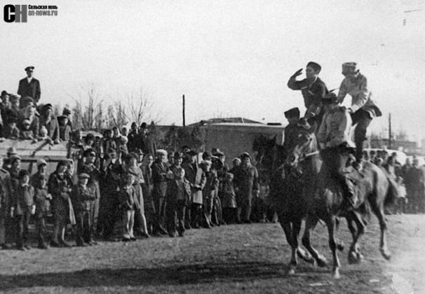 Коневодство: страсть и экономика