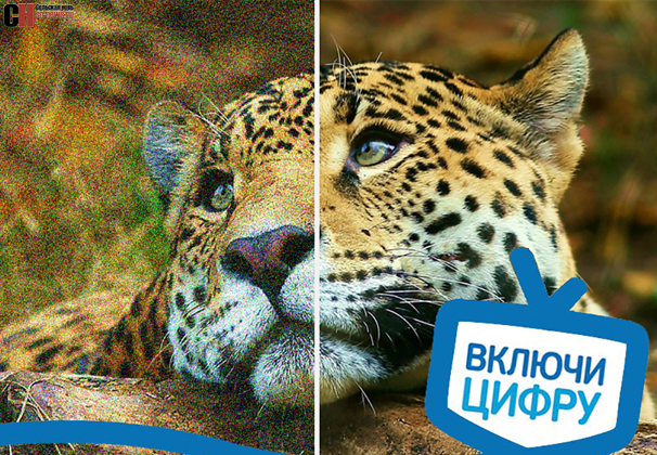 Цифра придет летом