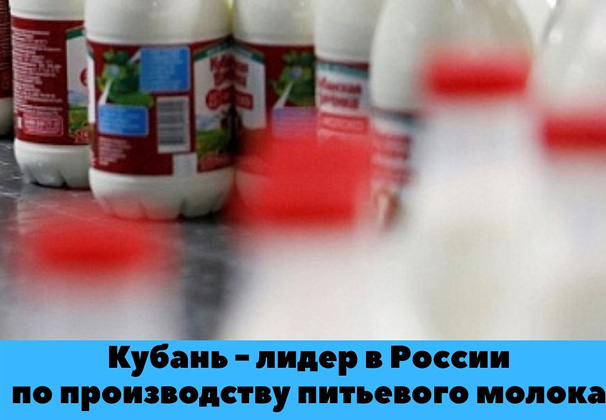 Краснодарский край - лидер по производству питьевого молока в России