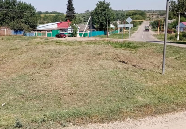В Александровском поселении покосили сорную растительность