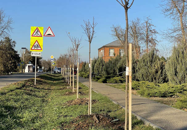 Благодаря участию в госпрограммах в сельских поселениях решена большая часть проблемных вопросов