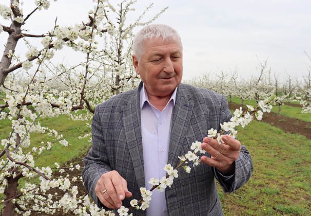 Краевая господдержка стала для фермеров Красноармейского района и в целом Кубани движущей силой и толчком к развитию