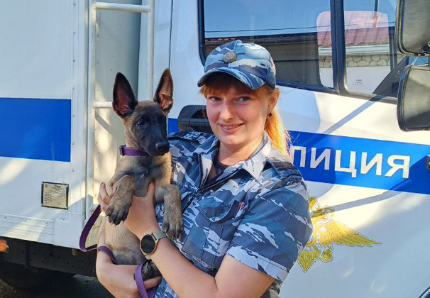 На службу в полицию поступил двухмесячный щенок бельгийской овчарки по кличке Локтар
