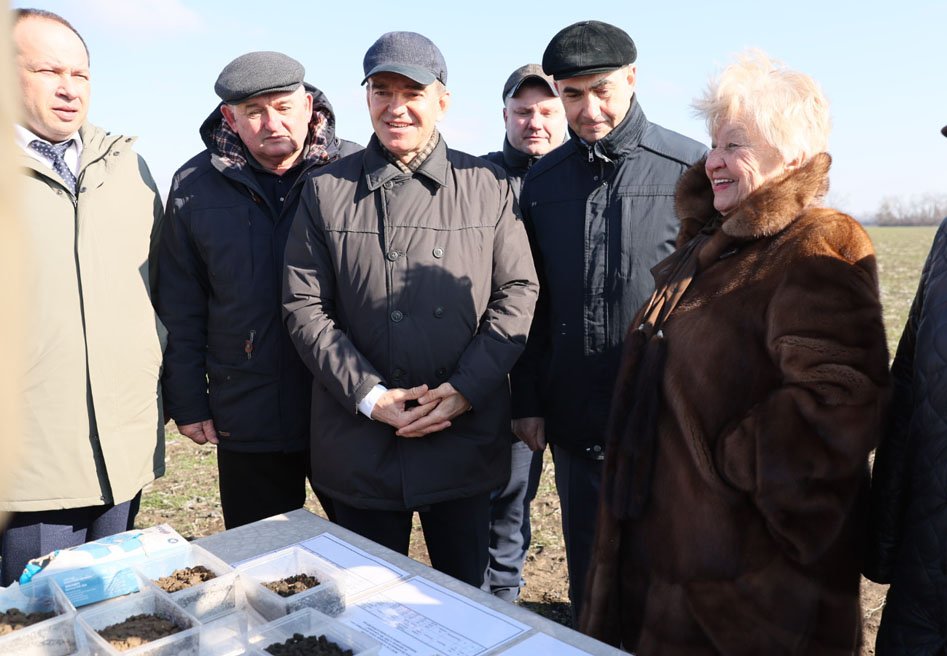 Свои семена дают лучшие всходы